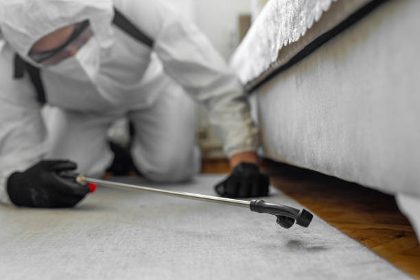 Professional Bed Bug Control technician working in Benton County County, MS